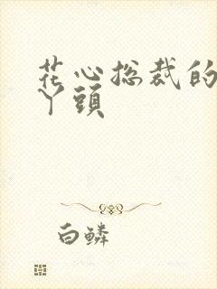 花心总裁的小小丫头