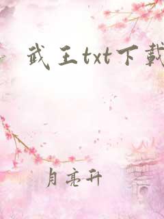 武王txt下载