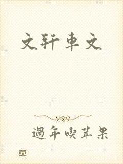 文轩车文