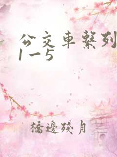 公交车系列合集1一5