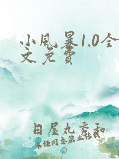 小风暴1.0全文免费