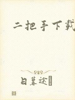 二把手下载