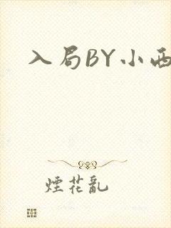 入局BY小西
