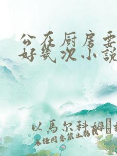 公在厨房要了我好几次小说