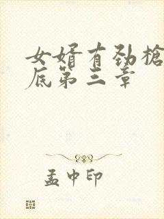 女婿有劲枪枪到底第三章