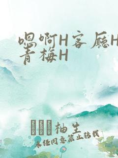 嗯啊H客厅HH青梅H