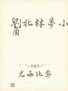 刘北林梦小说主角