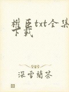 权臣txt全集下载