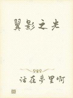 翼影之光