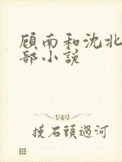 顾南和沈北是哪部小说