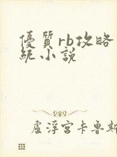 优质rb攻略系统小说