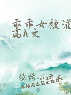 乖乖女被灌满精高h文