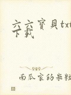 六六宝贝txt下载