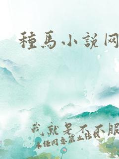 种马小说网