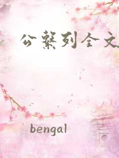 公系列全文阅读