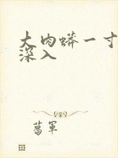 大肉蟒一寸寸地深入