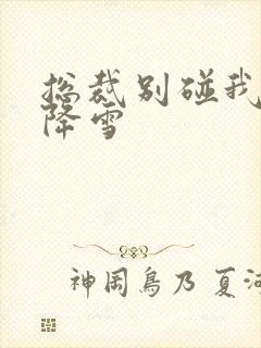 总裁别碰我 韩降雪