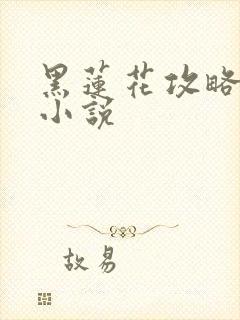 黑莲花攻略手册小说