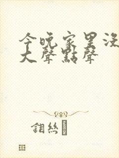 今晚家里没人叫大声点声