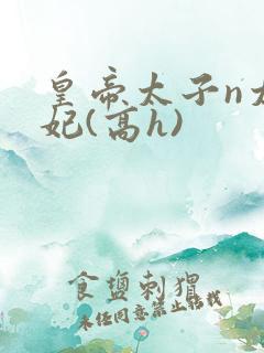 皇帝太子n太子妃(高h)