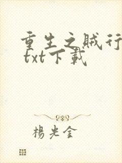 重生之贼行天下 txt下载