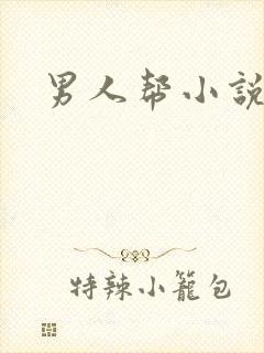 男人帮小说