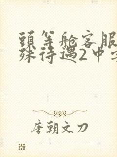 头等舱客服的特殊待遇2中字