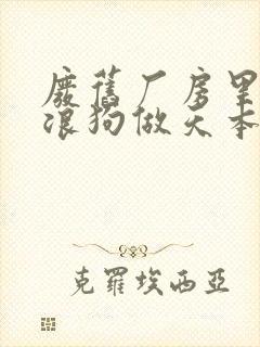 废旧厂房里和流浪狗做天本