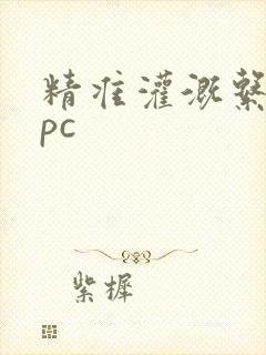 精准灌溉系统npc