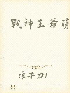 战神王爷萌虎妃