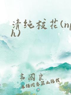 清纯校花(nph)