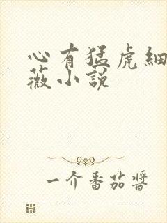 心有猛虎细嗅蔷薇小说