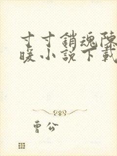 寸寸销魂陈聪王暖小说下载