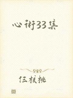 心术33集