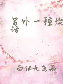 另外一种灿烂生活