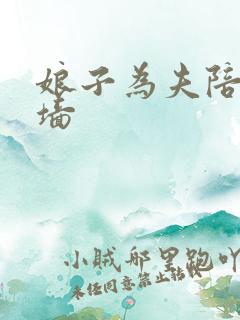 娘子为夫陪你爬墙