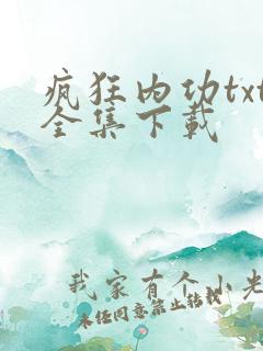 疯狂内功txt全集下载