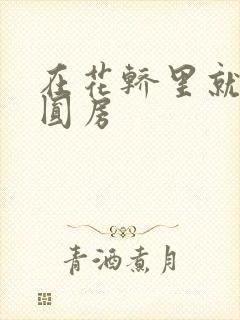 在花轿里就开始圆房