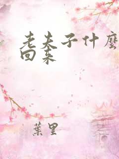 老夫子什么时候回来