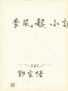 李风起 小说