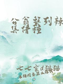 公翁系列辣文全集借种