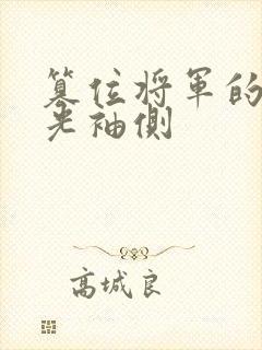 篡位将军的白月光袖侧