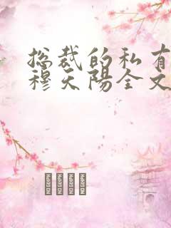 总裁的私有宝贝穆天阳全文阅读