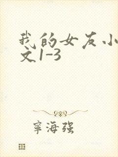 我的女友小洁全文1-3