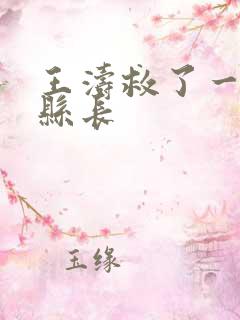 王涛救了一个女县长