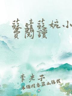 苏晴苏婉小说免费阅读