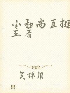 小和尚直挺挺的立着