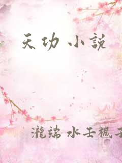 天功 小说