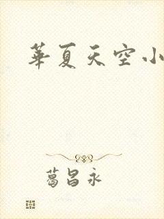 华夏天空小说网