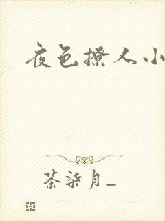 夜色撩人小说